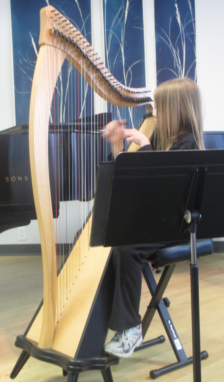 2013 Spring Music Party 012