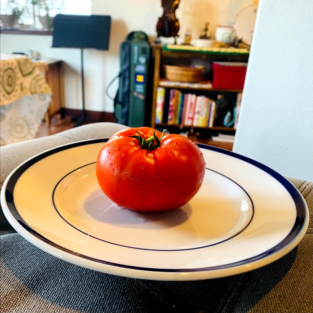 A perfect tomato on a white plate in the foreground and kitchen chaos in the background.